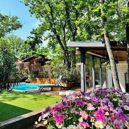 Pine-Wood Resort Балатональмади Экстерьер фото