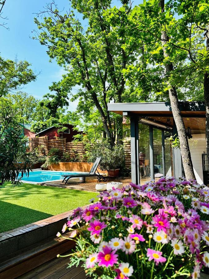 Pine-Wood Resort Балатональмади Экстерьер фото